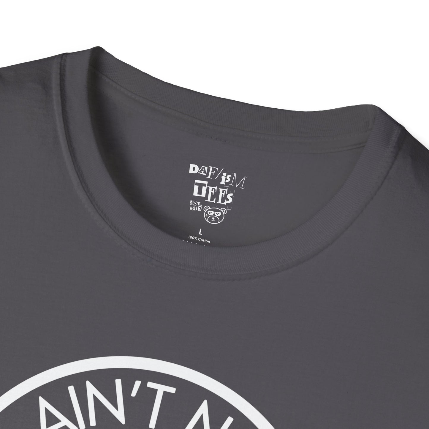 Friends and Family Picnic T-Shirt - 2025 Aint No Family Like The One We Got