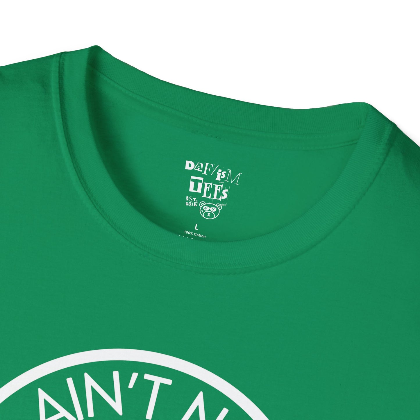 Friends and Family Picnic T-Shirt - 2025 Aint No Family Like The One We Got