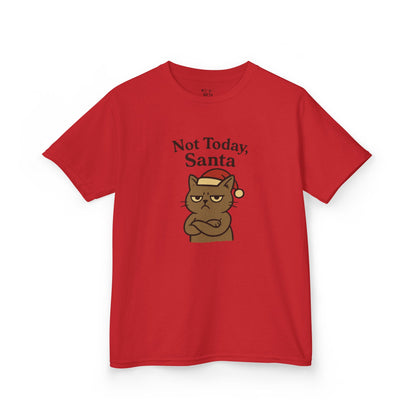 Grumpy "Not Today Santa"
